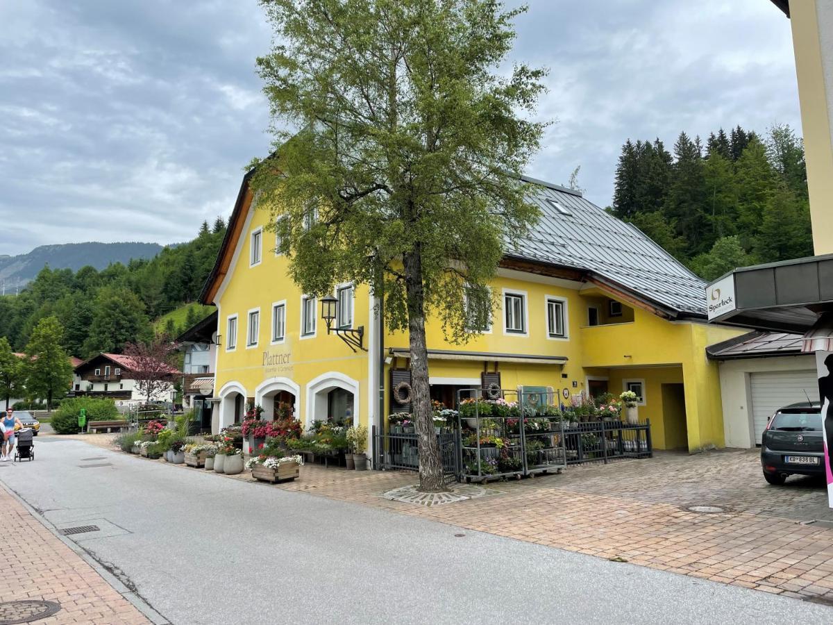 Haus Central Fieberbrunn By Alpine Host Helpers Экстерьер фото